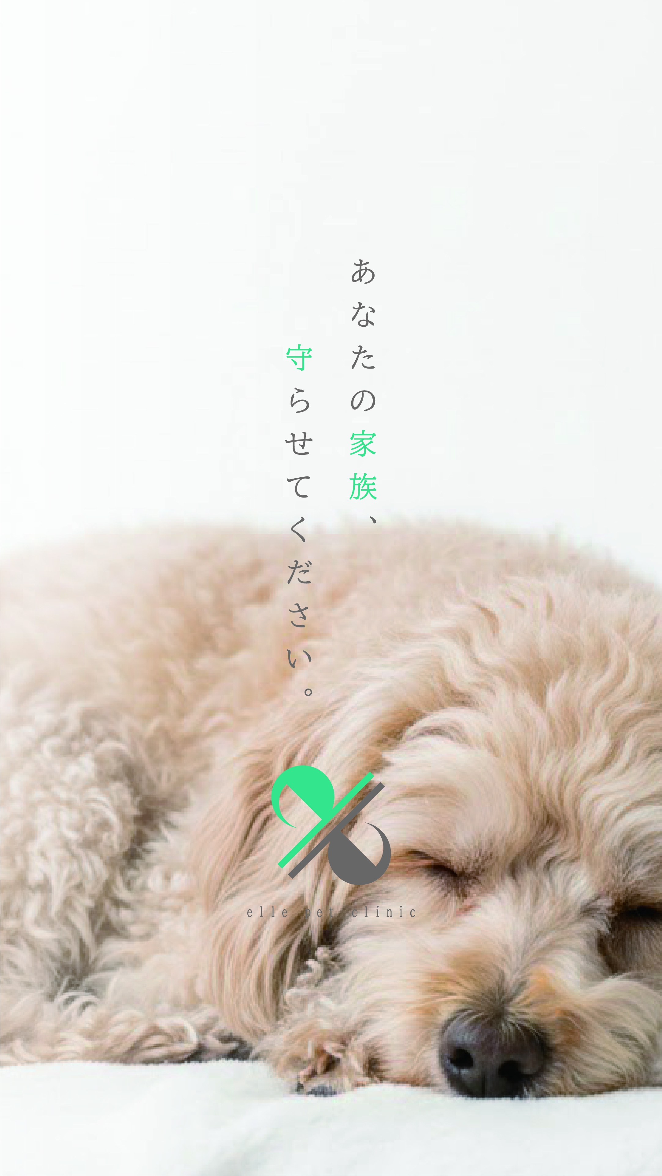 エルペットクリニック