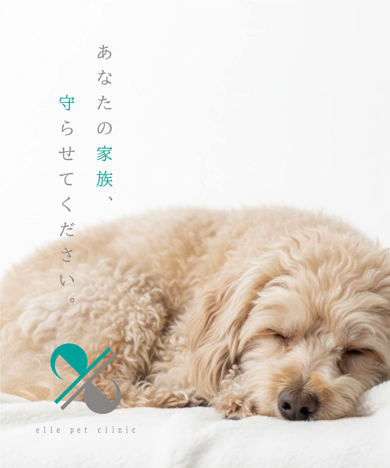 エルペットクリニック